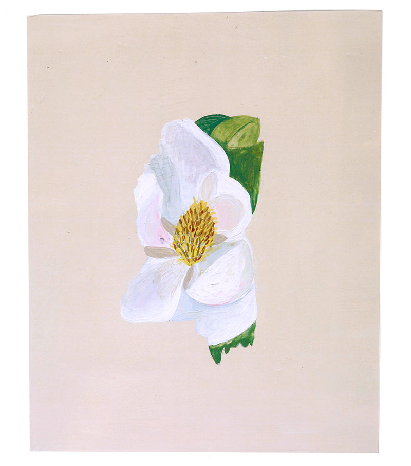 Mississippi Magnolia State Flower Print - Thimblepress