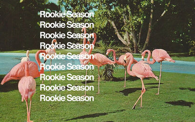 Mississippi Monday | Rookie Season