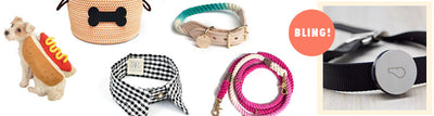 Friday Finds | Pet Accessories