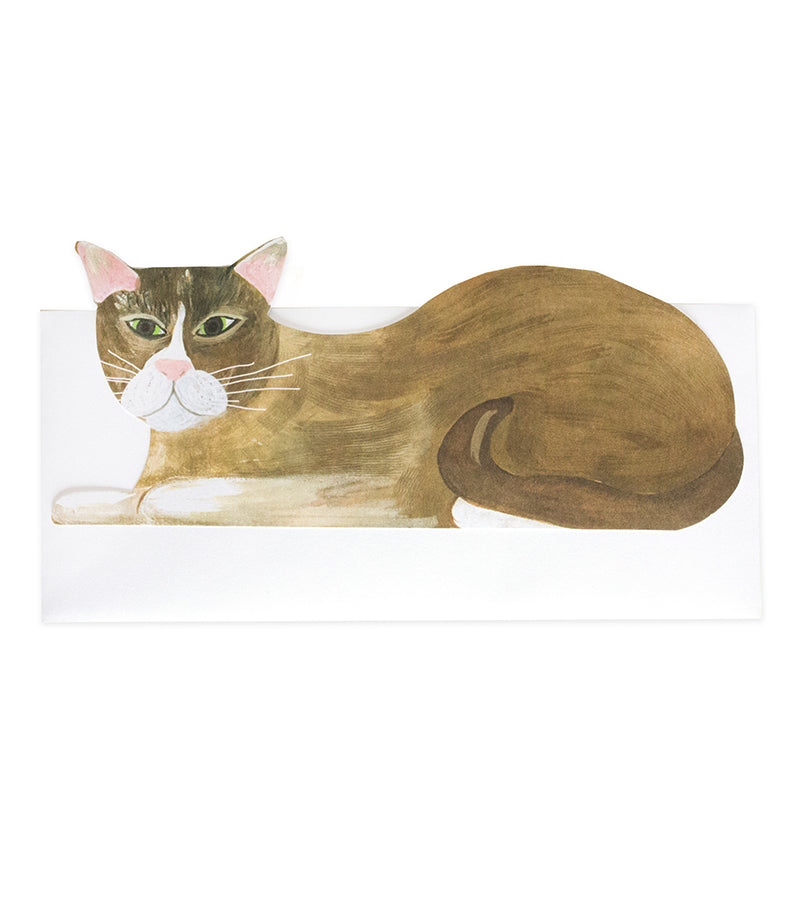 flat cat norman card - Thimblepress